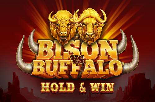 Bison vs Buffalo