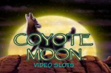 Coyote Moon