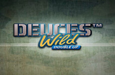 Deuces Wild Poker Multiple Hands