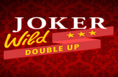 Joker Wild Multiple Hands