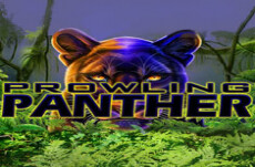 Prowling Panther