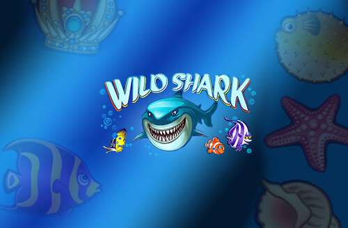 Wild Shark