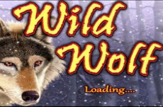 Wild Wolf